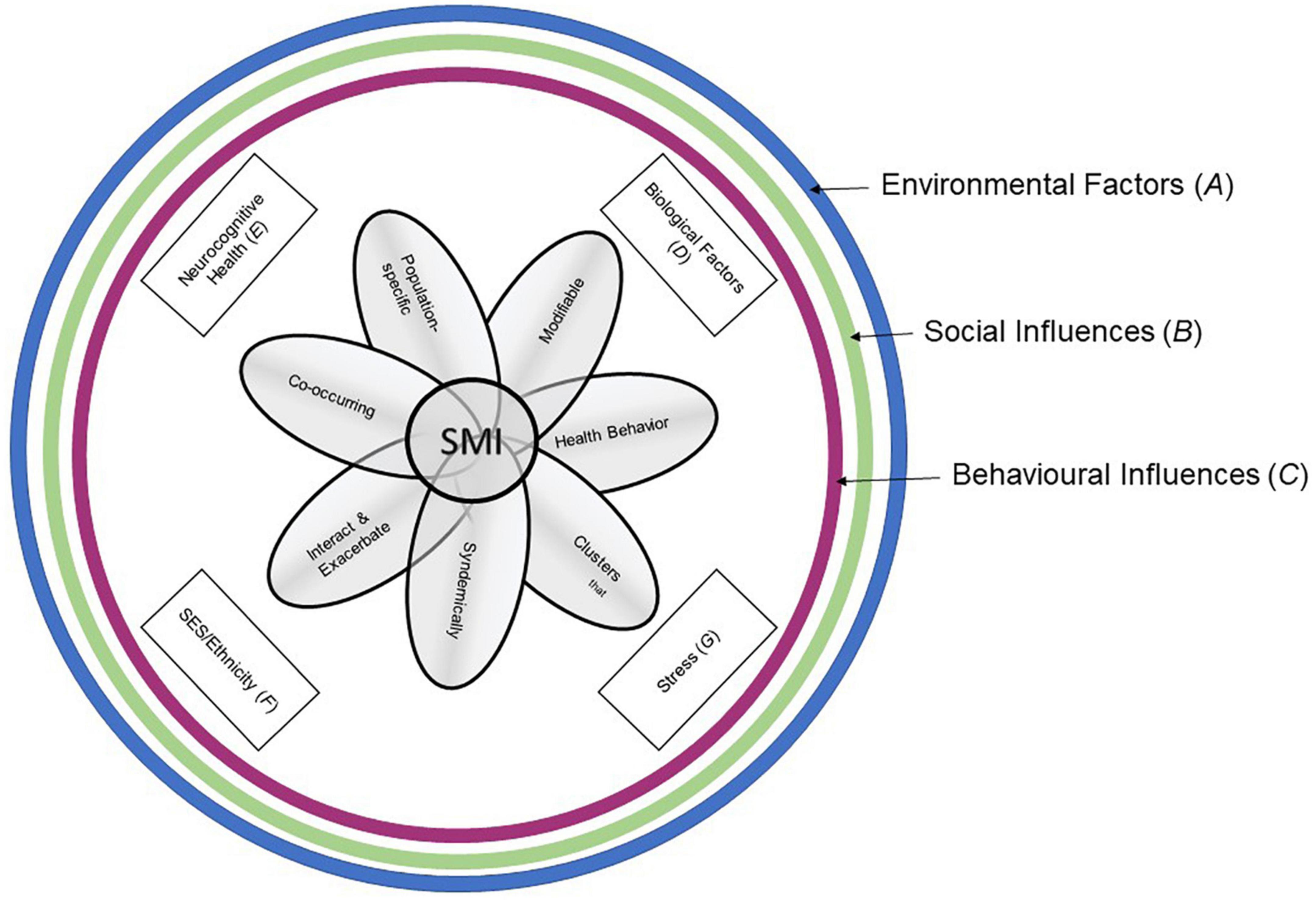 Can we better understand severe mental illness through the lens of Syndemics?